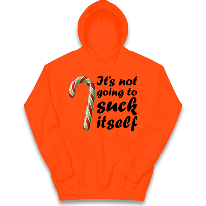 Not Going To Suck Itself Kids Hoodie