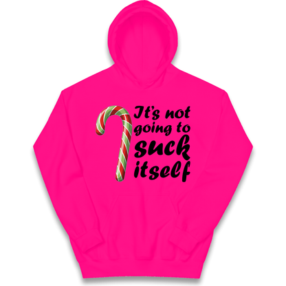 Not Going To Suck Itself Kids Hoodie