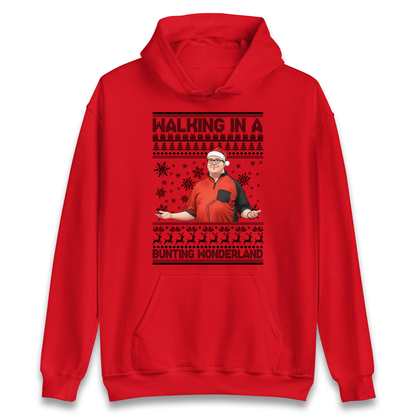 Bunting Wonderland Hoodie