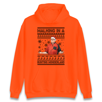Bunting Wonderland Hoodie