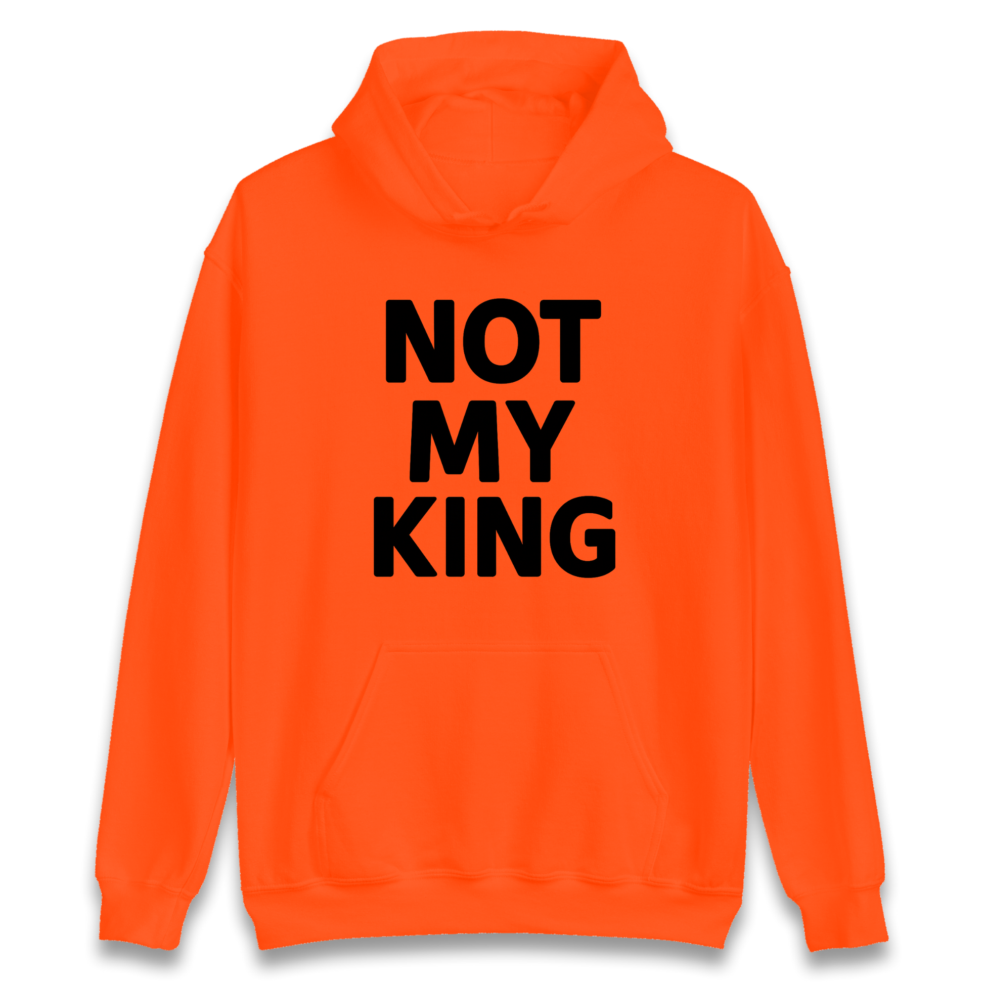 Not My King Hoodie