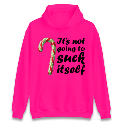 Not Going To Suck Itself Hoodie