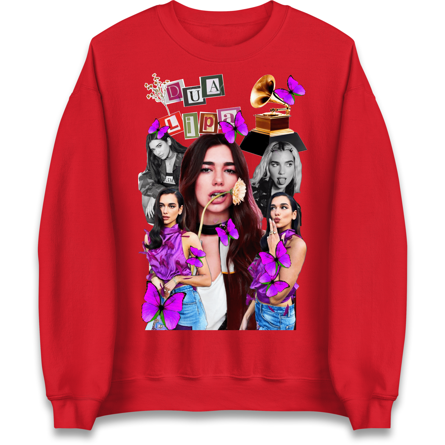 Dua Lipa Butterflies Jumper 