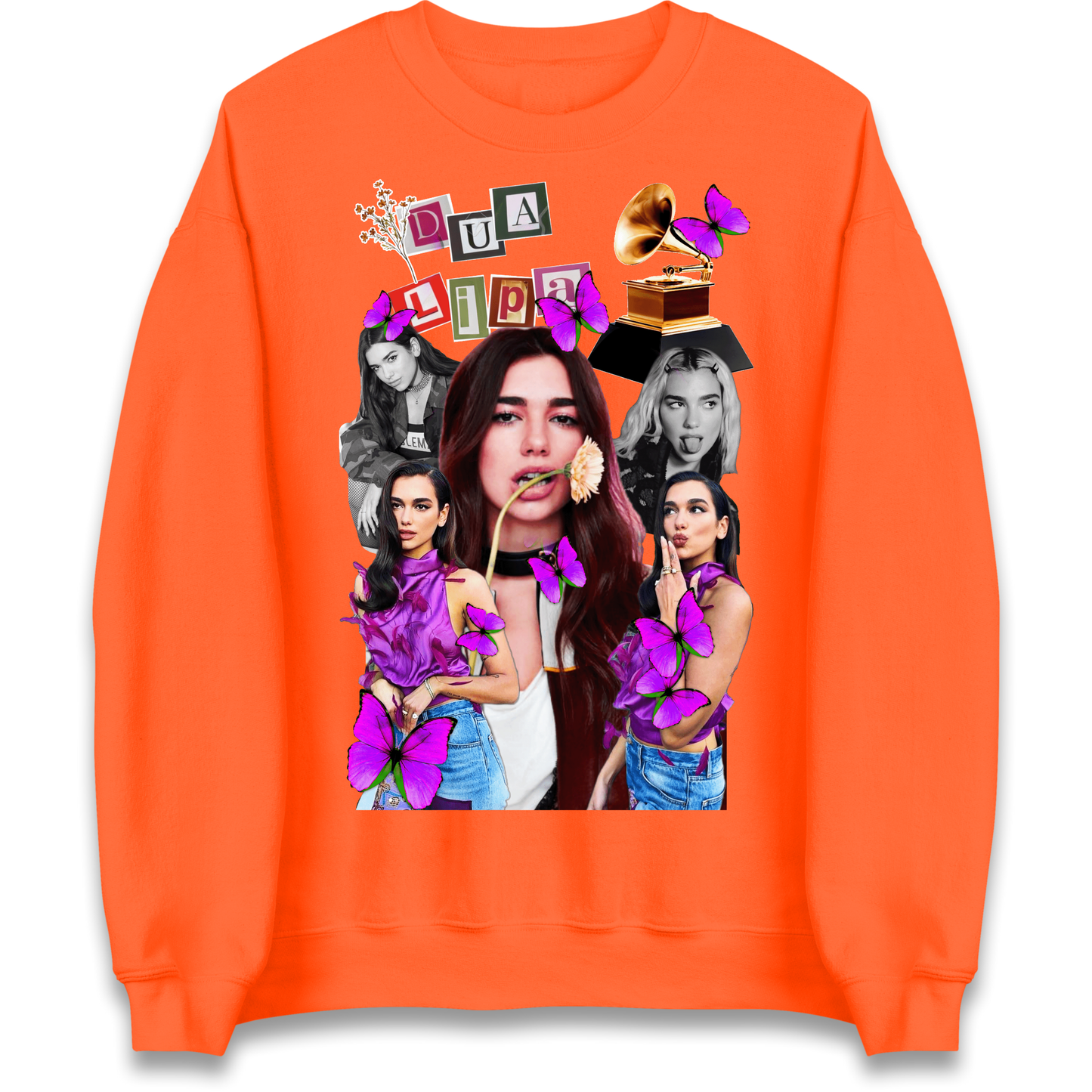 Dua Lipa Butterflies Jumper 