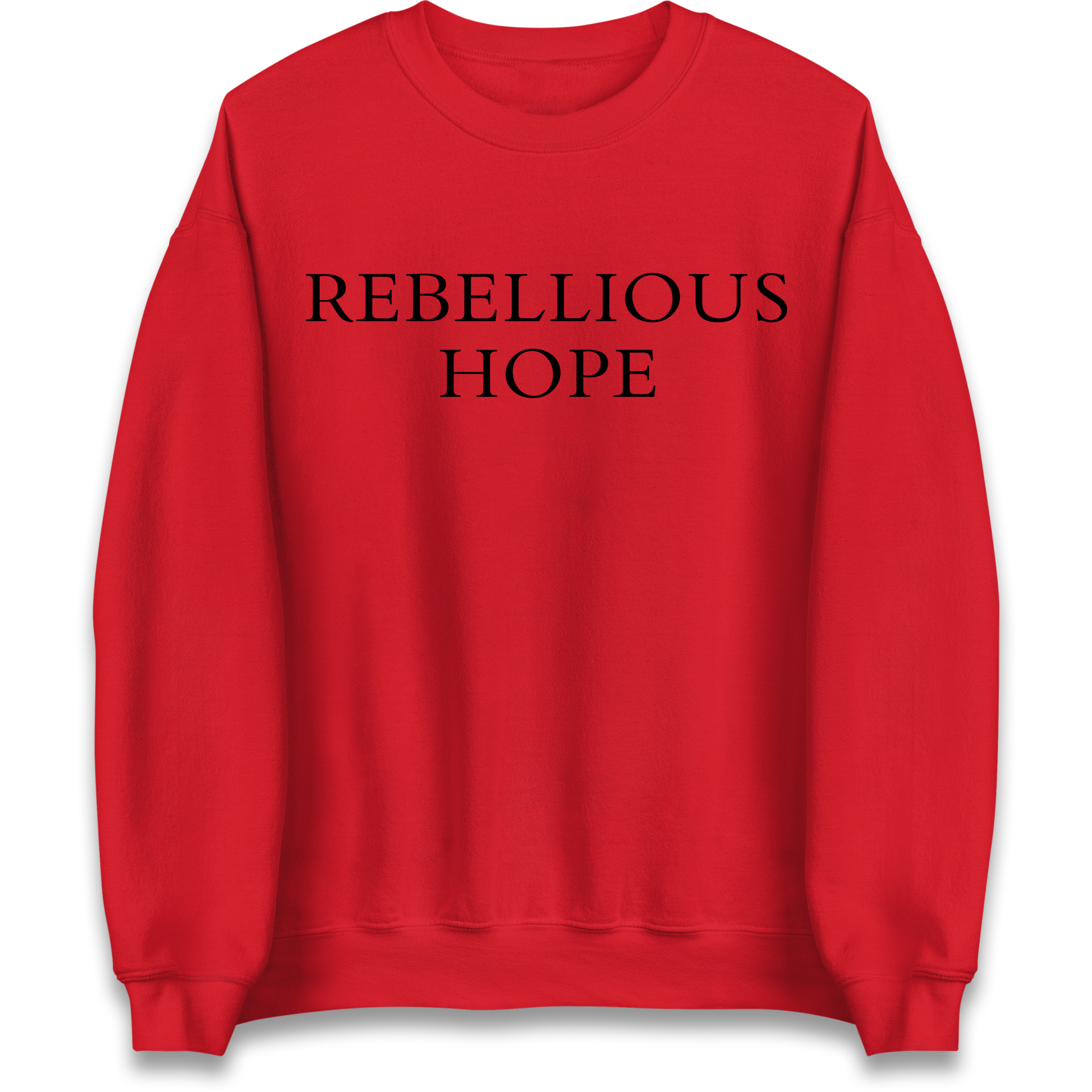 Rebellious Hope Embroidered Sweatshirt