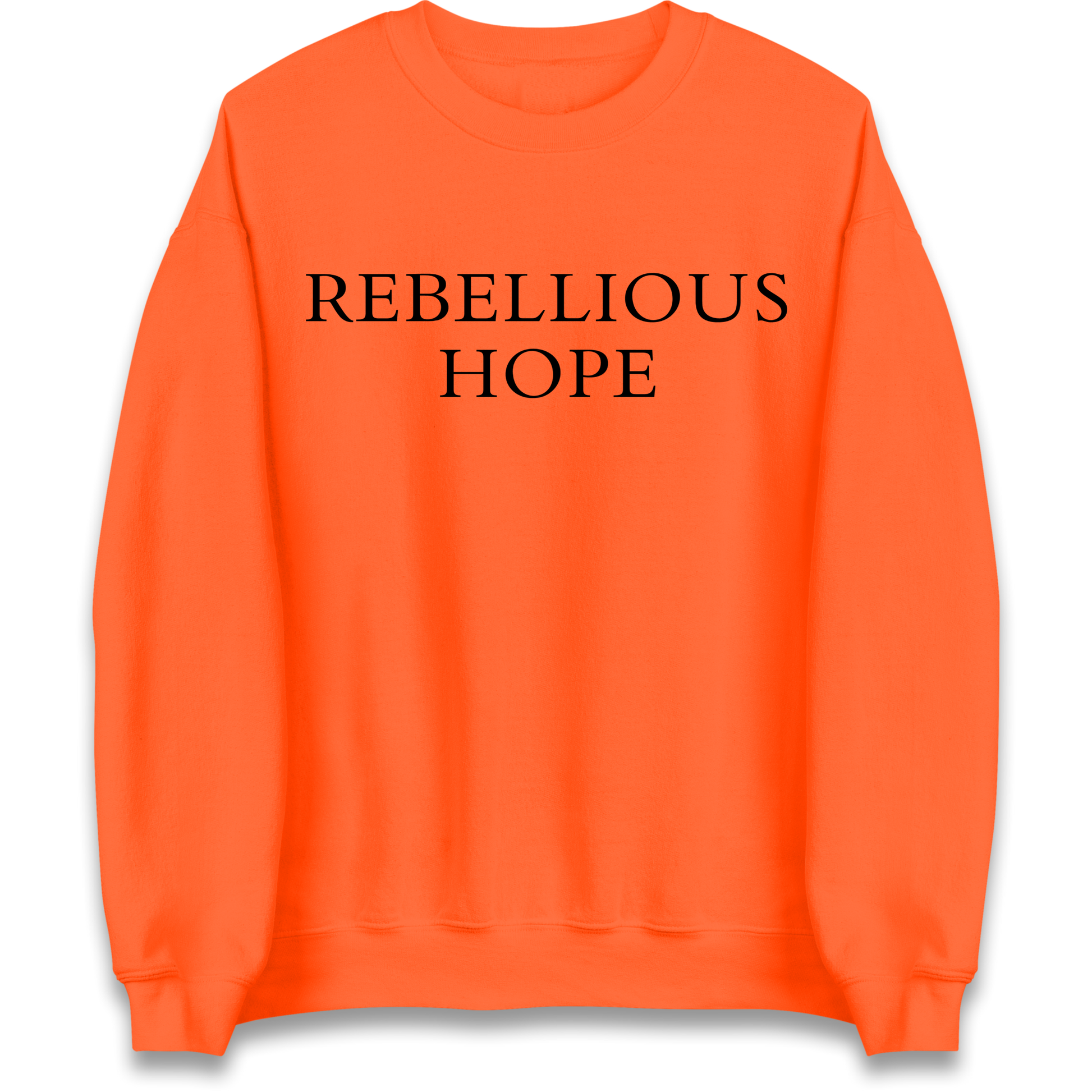 Rebellious Hope Embroidered Sweatshirt