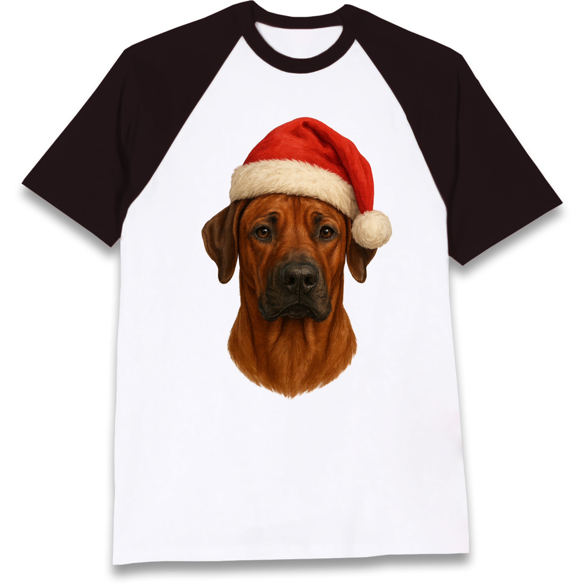 Rhodesian Ridgeback Christmas Raglan T Shirt
