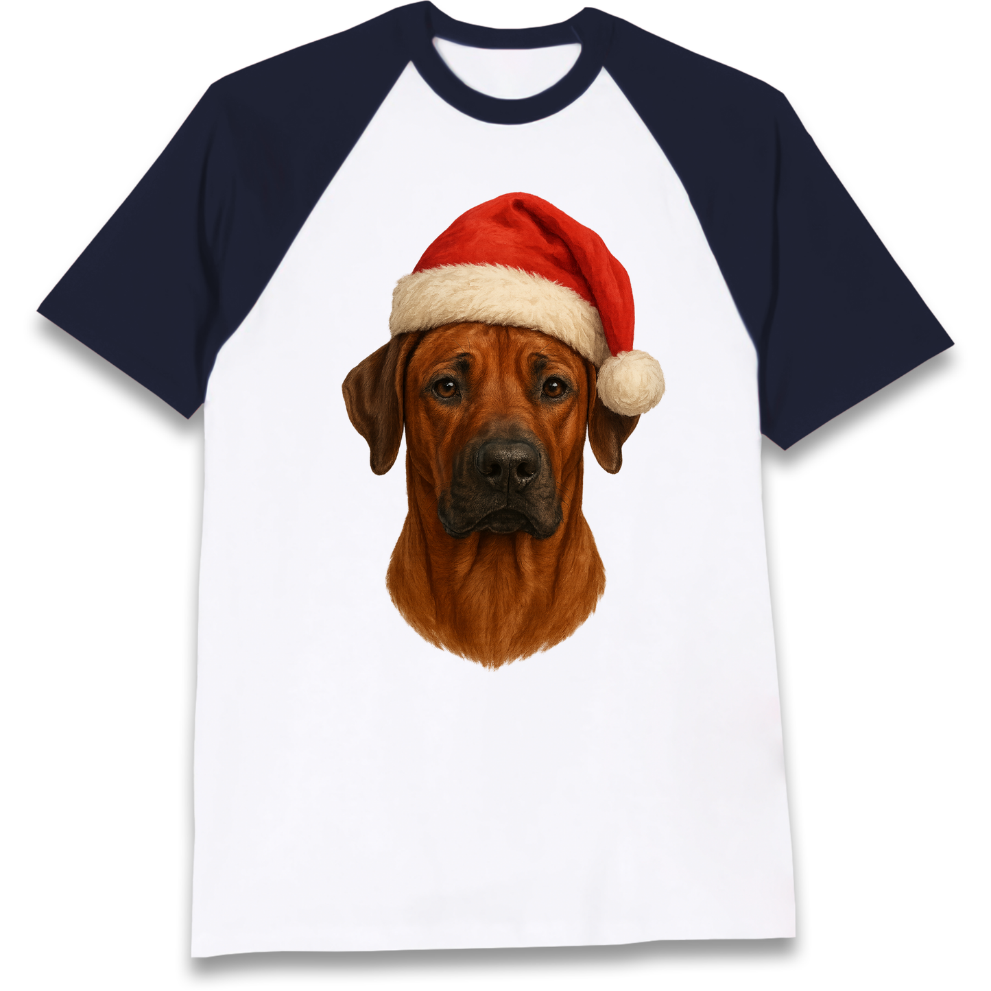 Rhodesian Ridgeback Christmas Raglan T Shirt