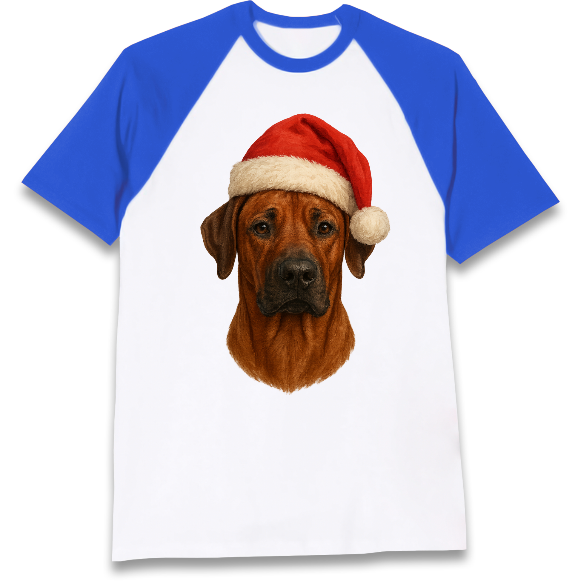 Rhodesian Ridgeback Christmas Raglan T Shirt
