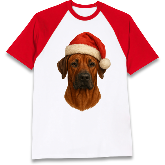 Rhodesian Ridgeback Christmas Raglan T Shirt