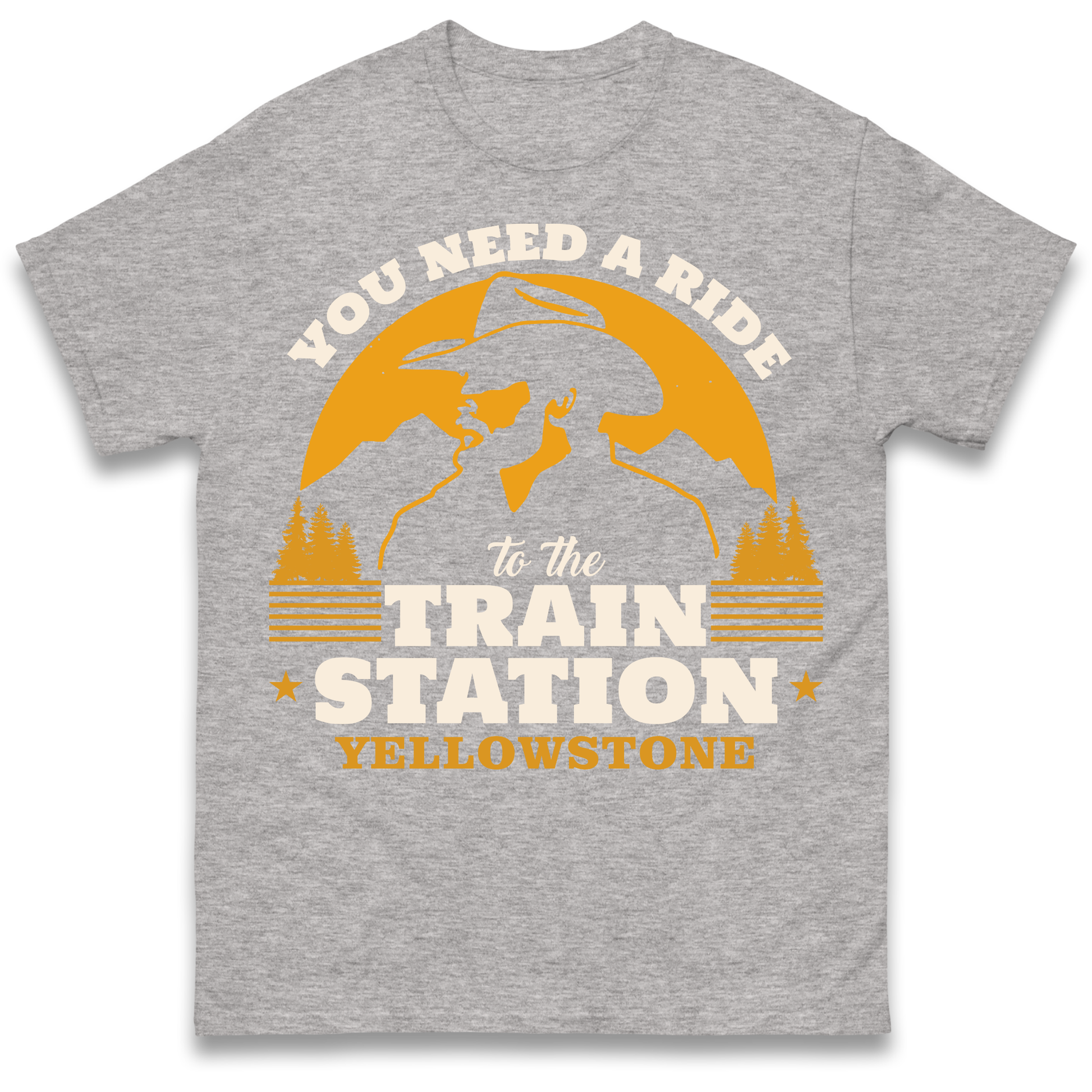 You Need A Ride To The Train Station T Shirt