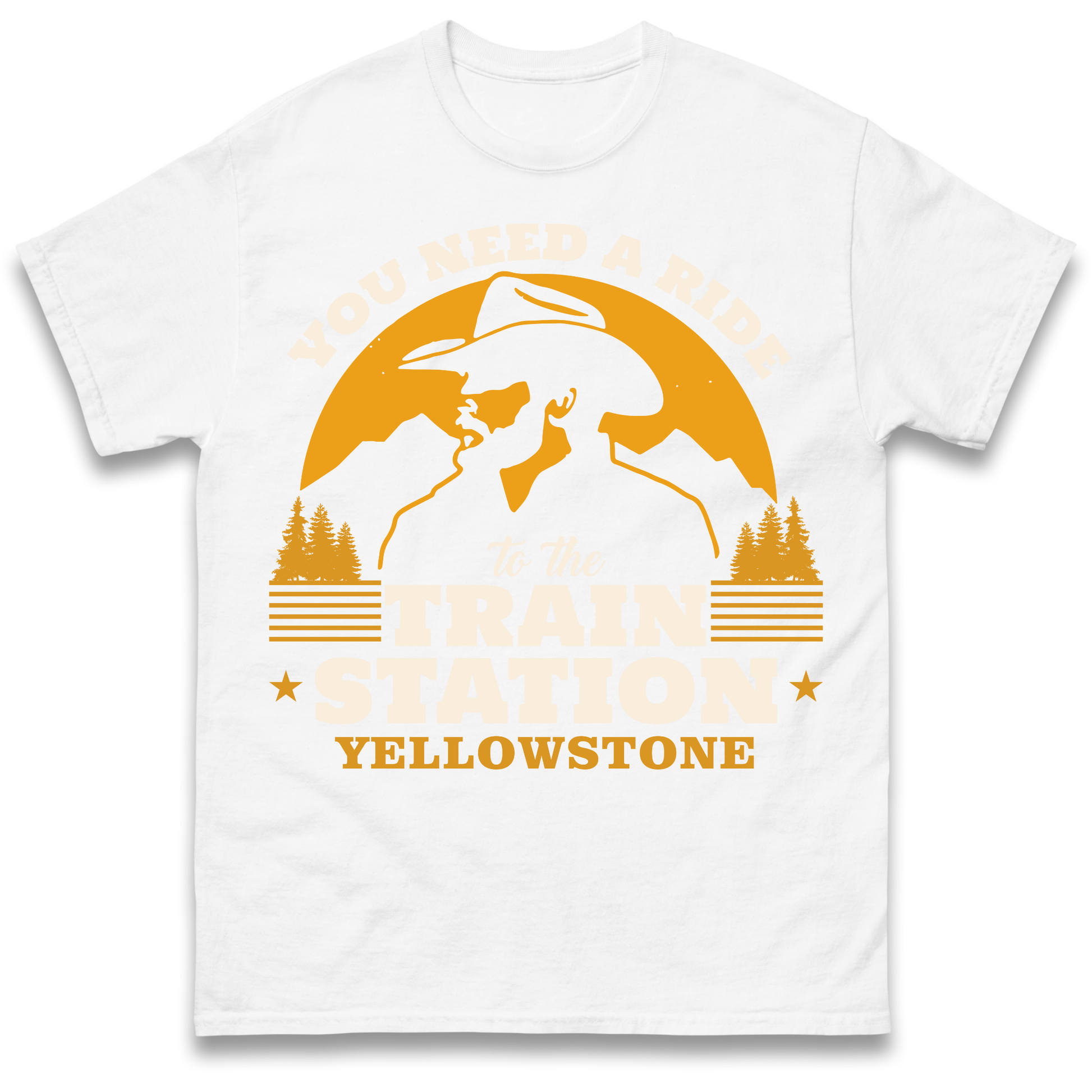 You Need A Ride To The Train Station T Shirt