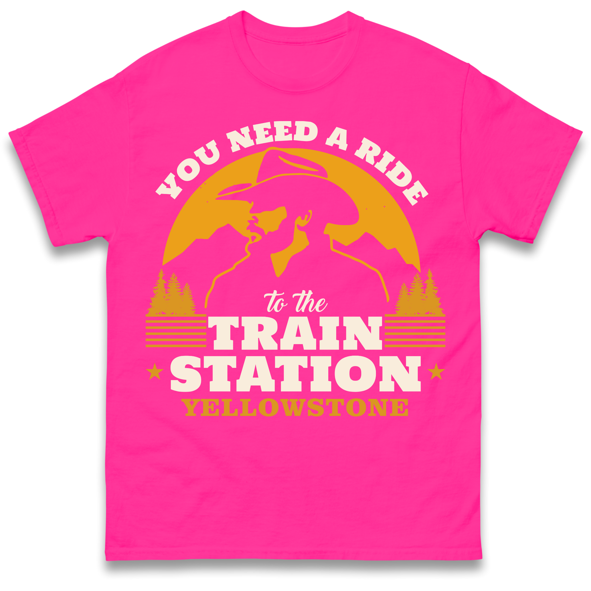 You Need A Ride To The Train Station T Shirt