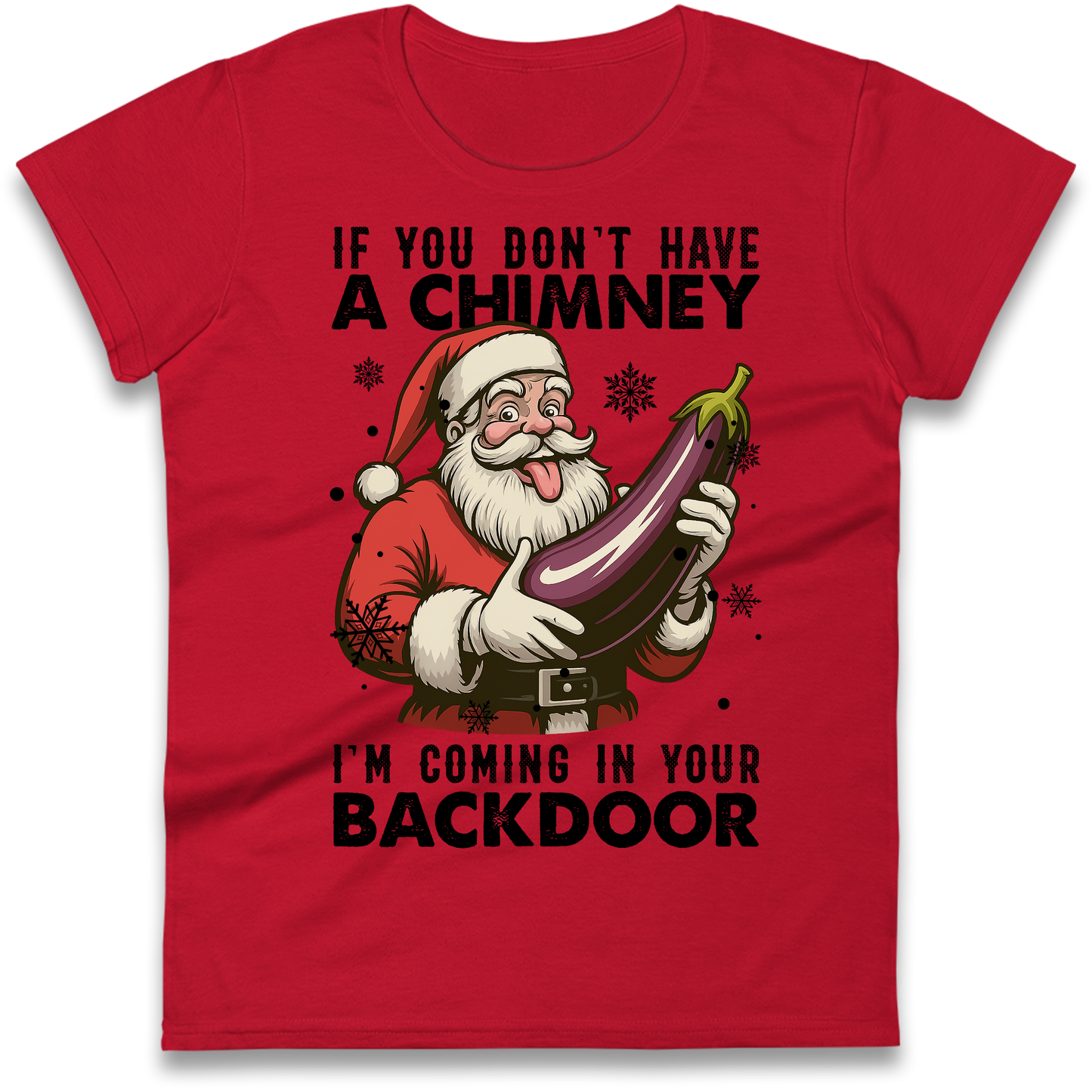 Santa Back Door Ladies Shirt