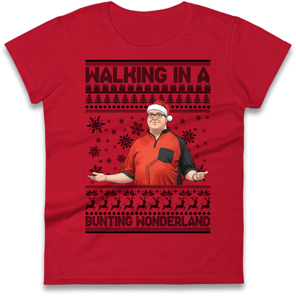 Bunting Wonderland Ladies Shirt