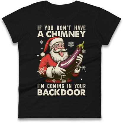Santa Back Door Ladies Shirt