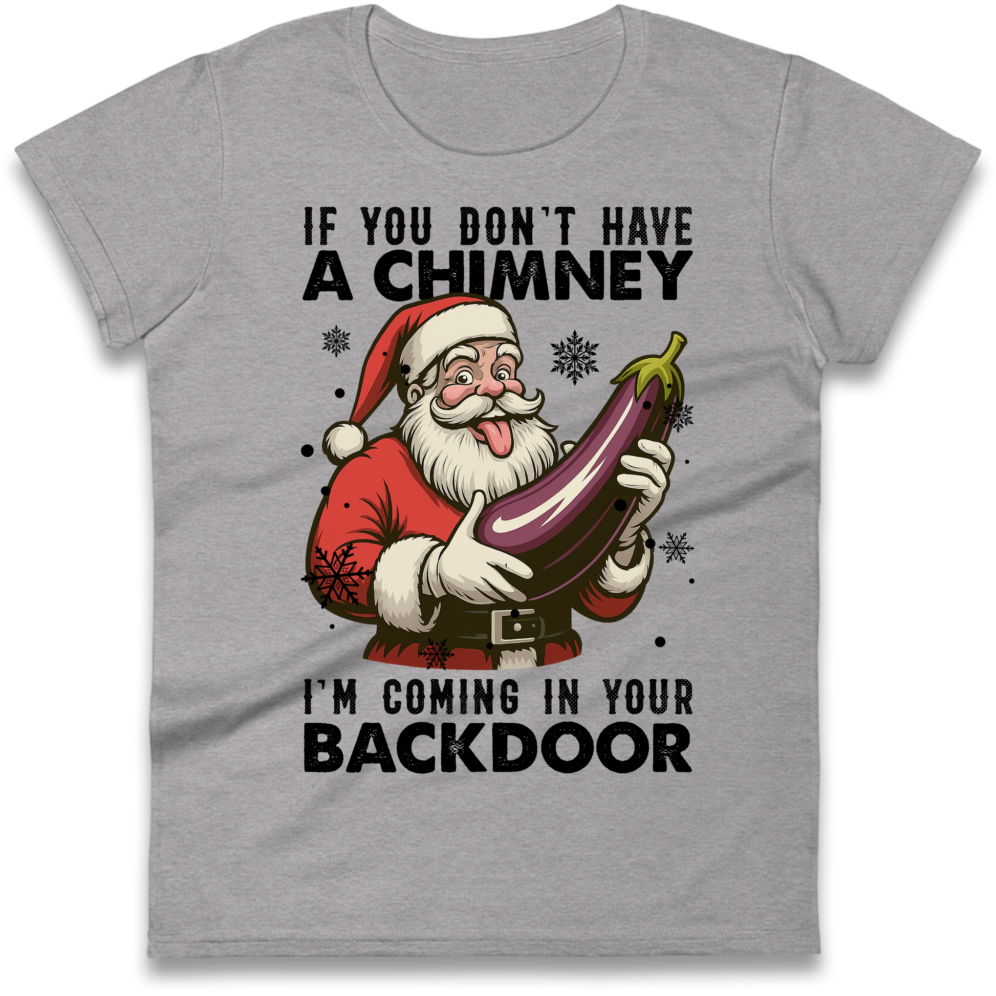 Santa Back Door Ladies Shirt