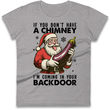 Santa Back Door Ladies Shirt
