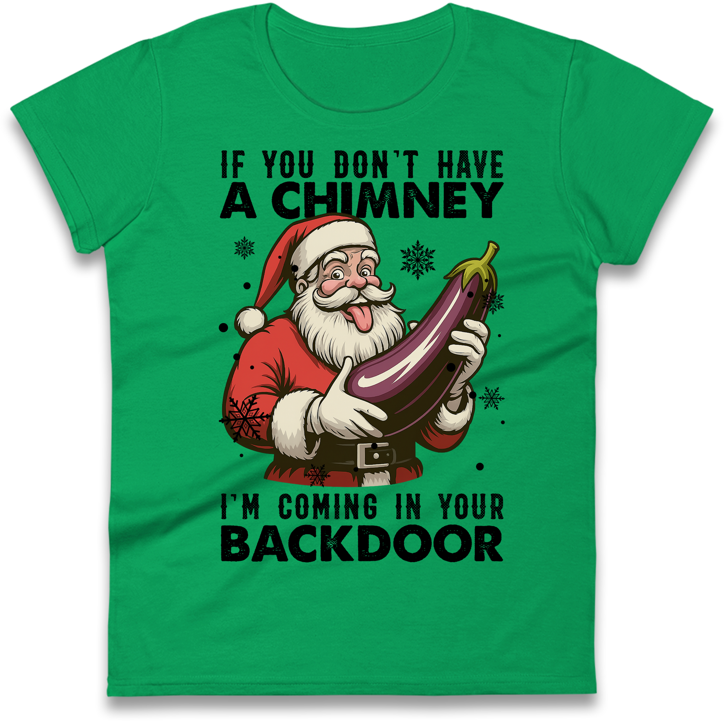 Santa Back Door Ladies Shirt
