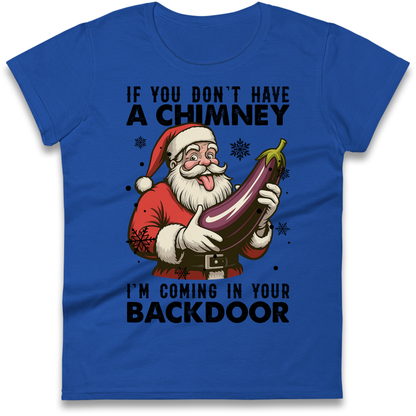Santa Back Door Ladies Shirt