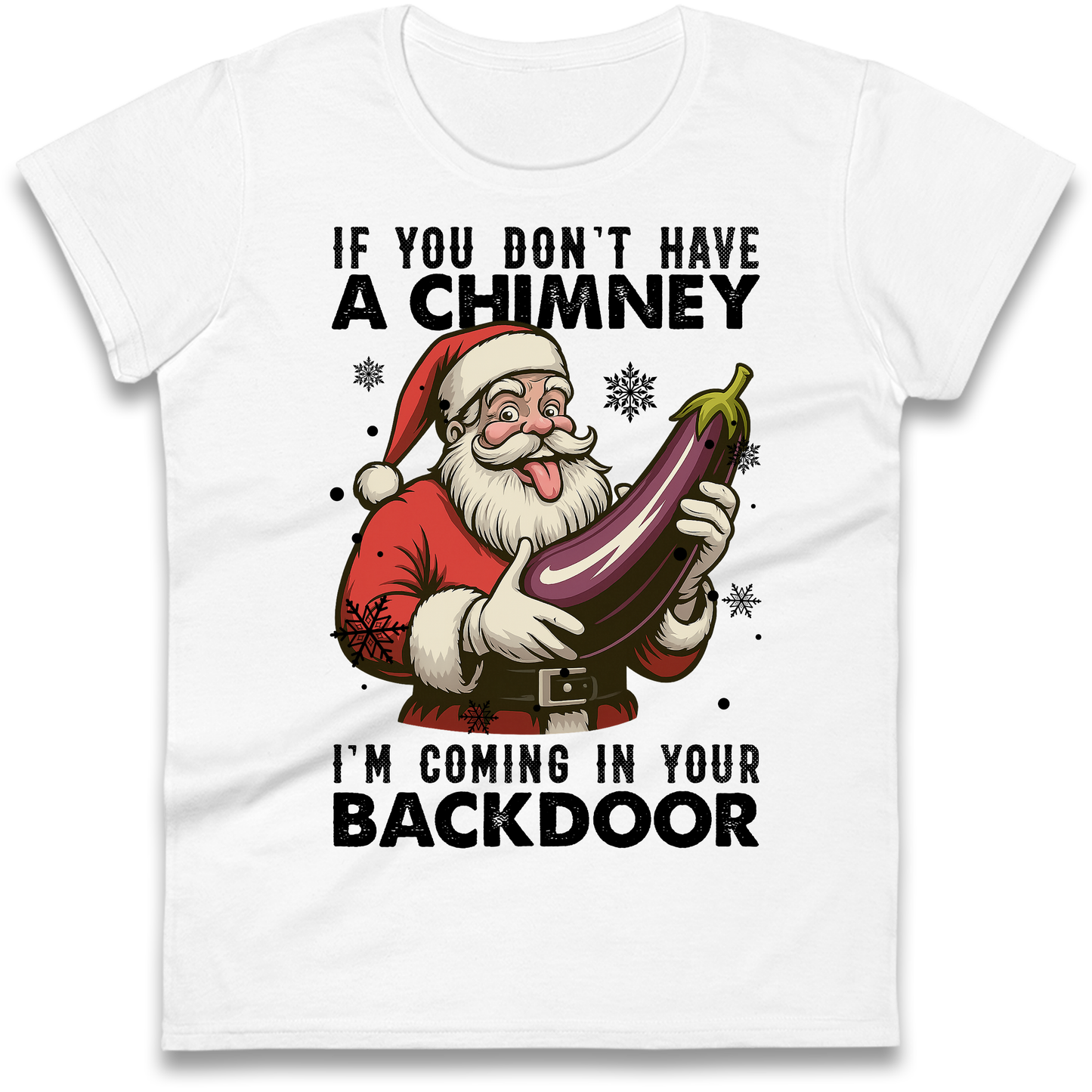 Santa Back Door Ladies Shirt