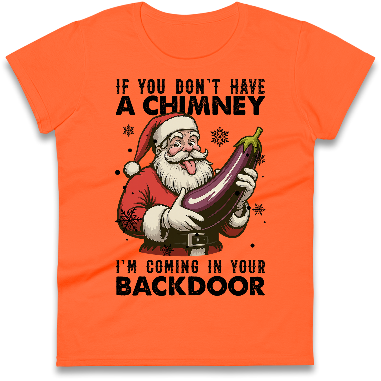Santa Back Door Ladies Shirt