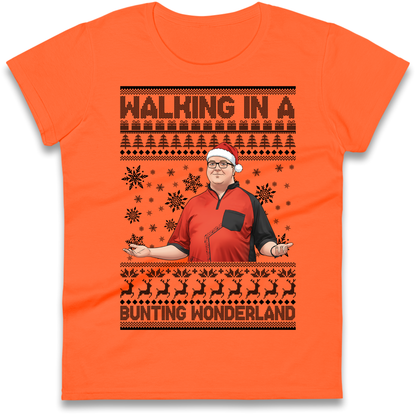 Bunting Wonderland Ladies Shirt