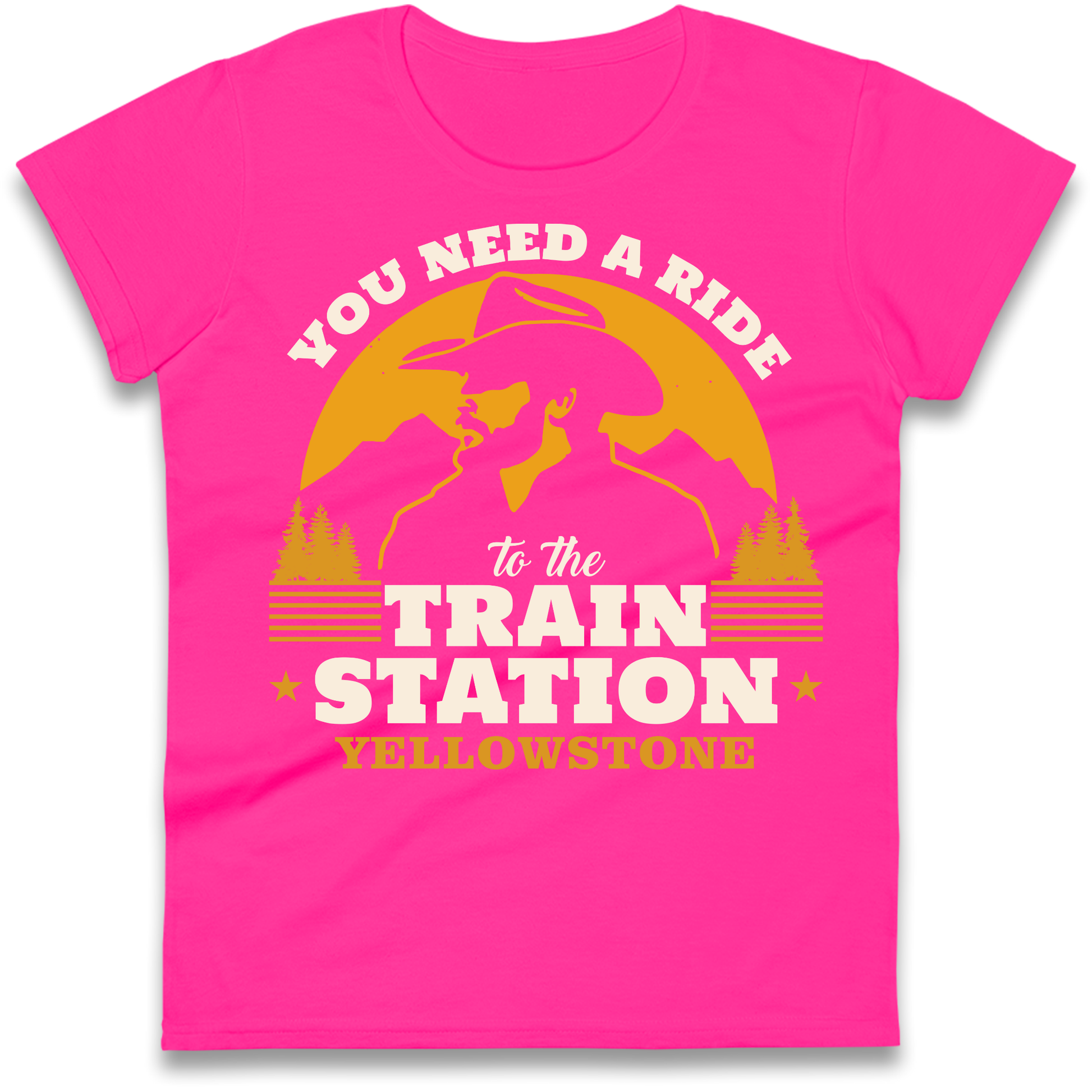 You Need A Ride To The Train Station Ladies Shirt