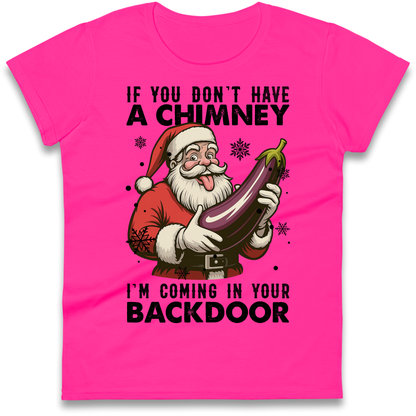 Santa Back Door Ladies Shirt