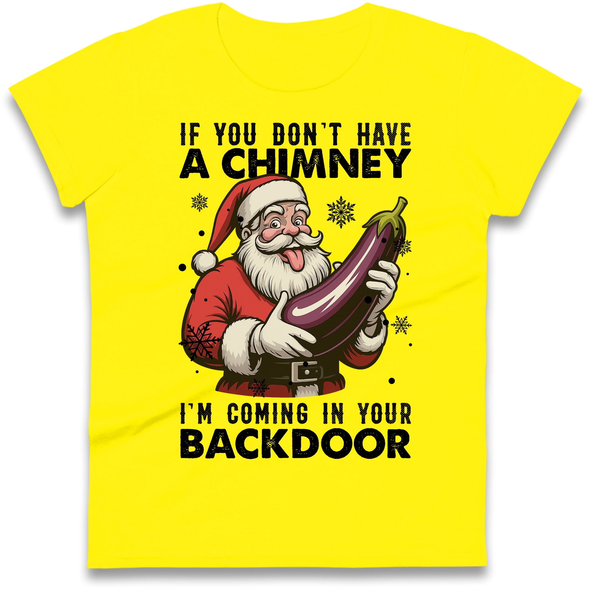 Santa Back Door Ladies Shirt