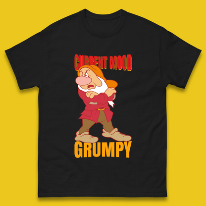 Personalised 7 Dwarfs T Shirt