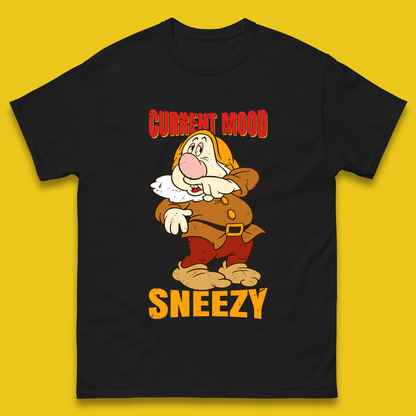 Personalised 7 Dwarfs T Shirt