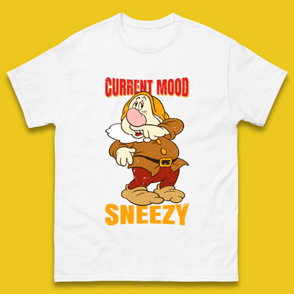 Personalised 7 Dwarfs T Shirt