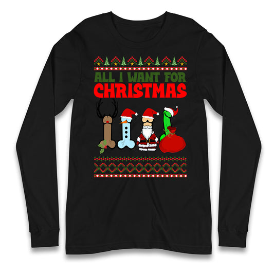 All I Want For Christmas Funny T Shirt