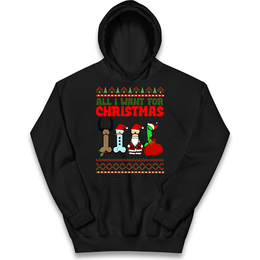 All I Want For Christmas Funny Adults Joke Hoodie