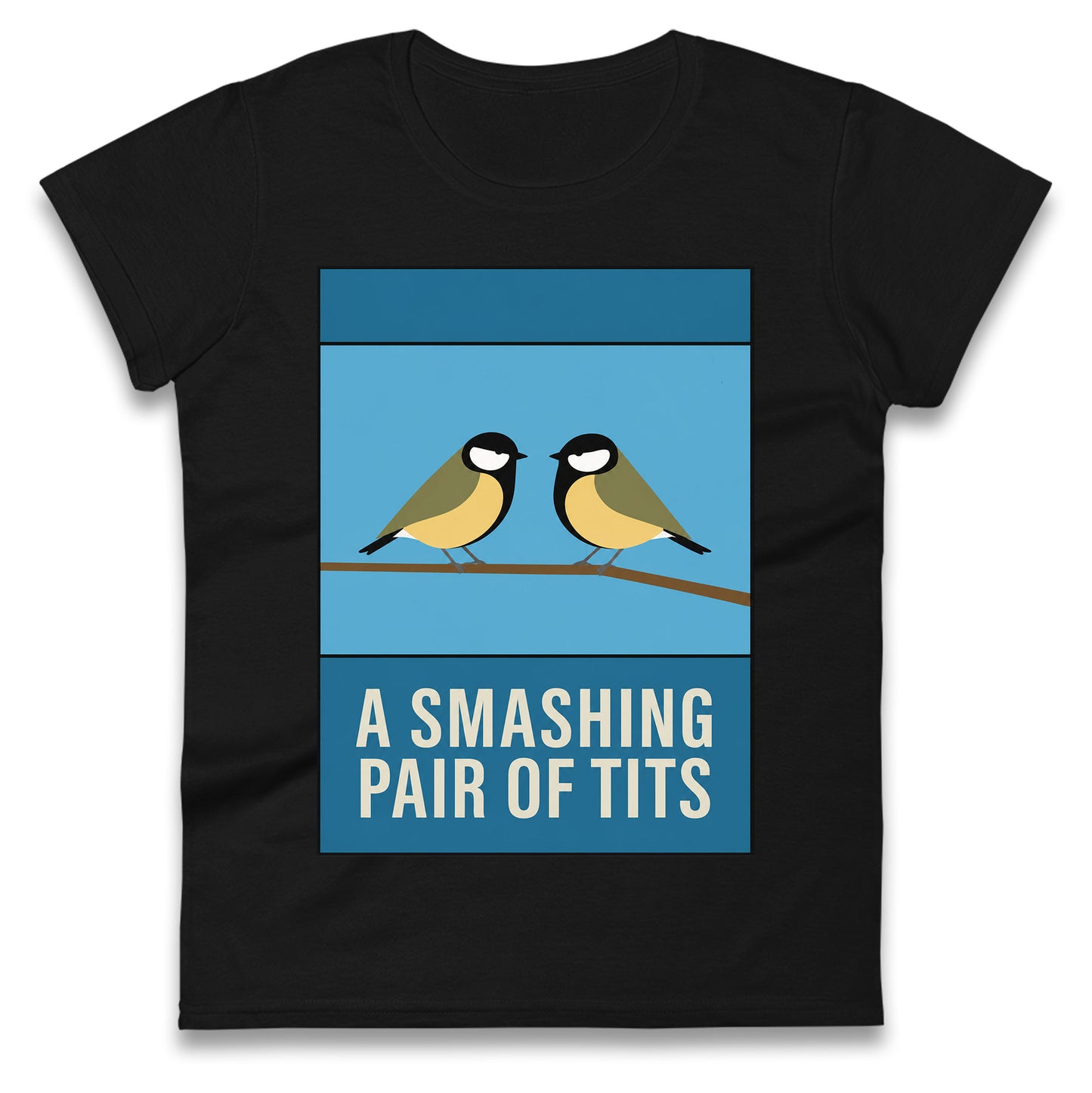 A Smashing Pair Of Tits Ladies T Shirt