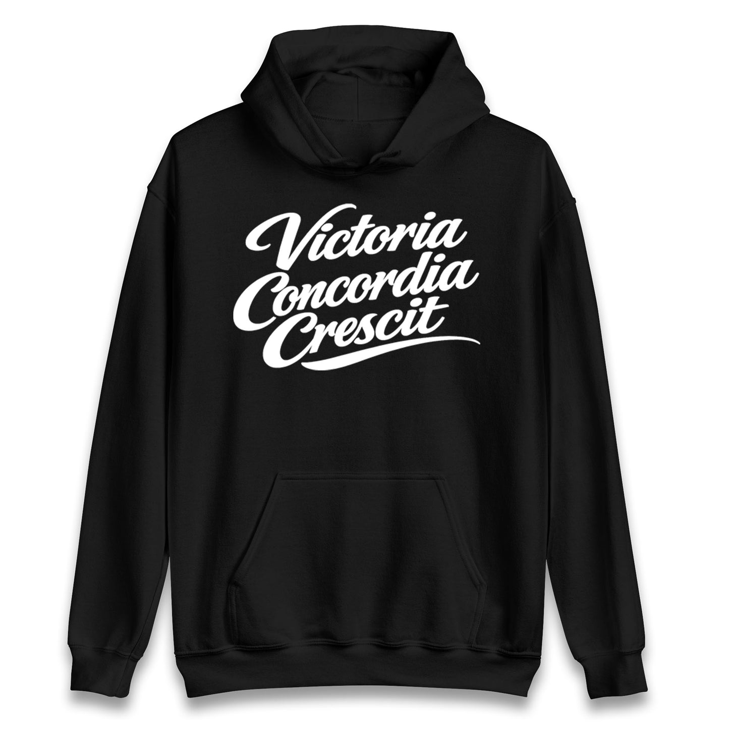 Arsenal Motto Hoodie