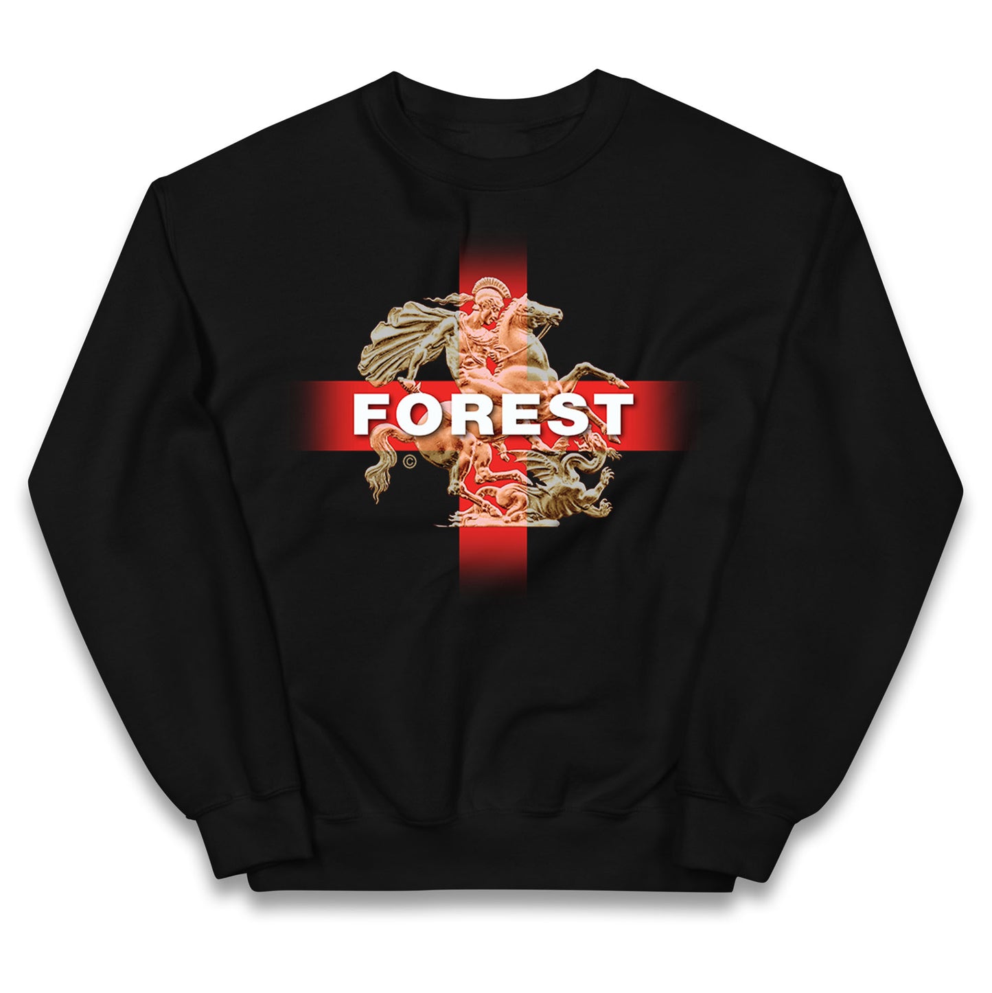 Forest St George & The Dragon Kids Jumper