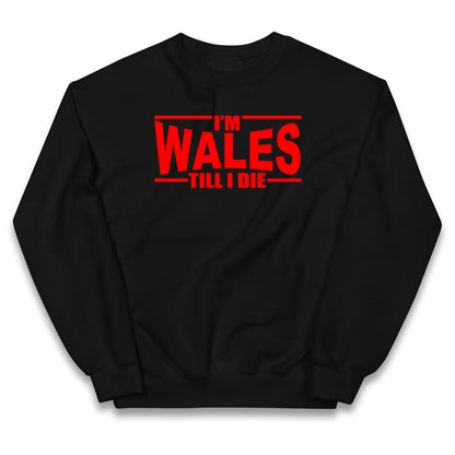 I'm Wales Till I Die Kids Jumper