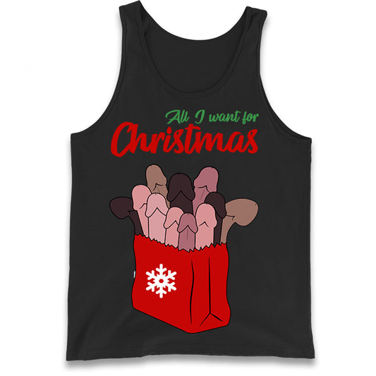 All I Want For Christmas Santa Bag Funny Tank Top