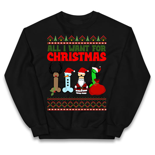 All I Want For Christmas Funny Jumper