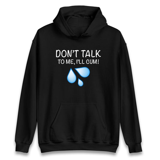 Don't Talk To Me I'll Cum Hoodie