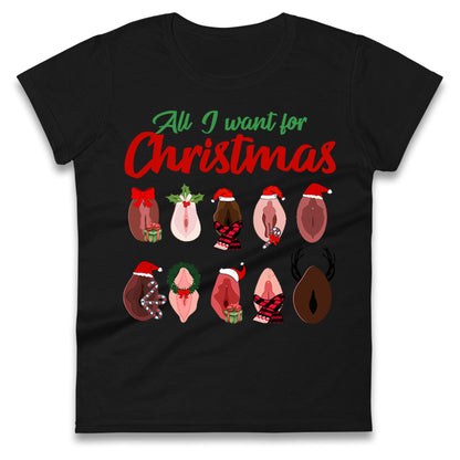 All I Want For Christmas Vagina Funny T Shirt