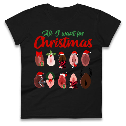 All I Want For Christmas Vagina Funny T Shirt