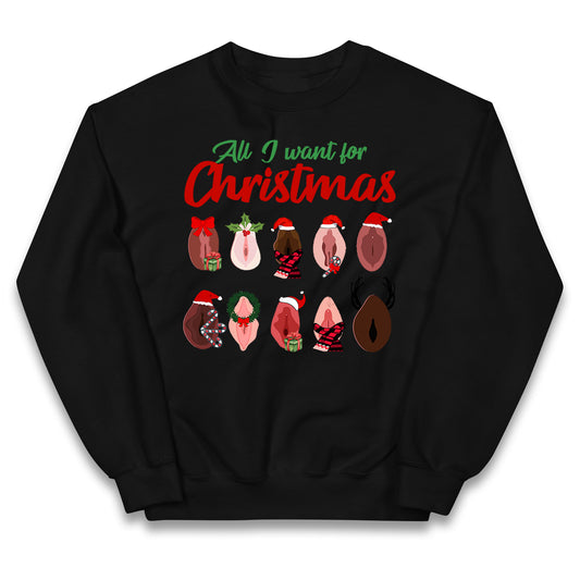 All I Want For Christmas Vagina Funny Jumper