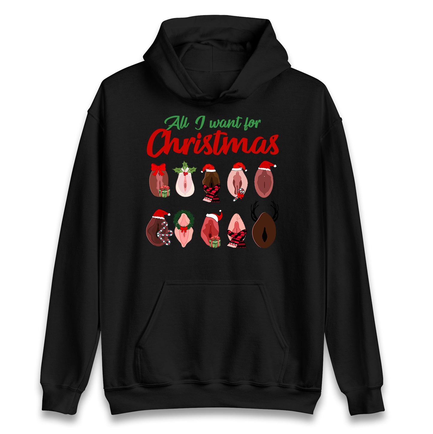 All I Want For Christmas Vagina Funny Hoodie