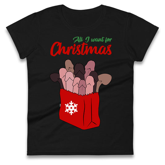 All I Want For Christmas Santa Bag Funny T Shirt