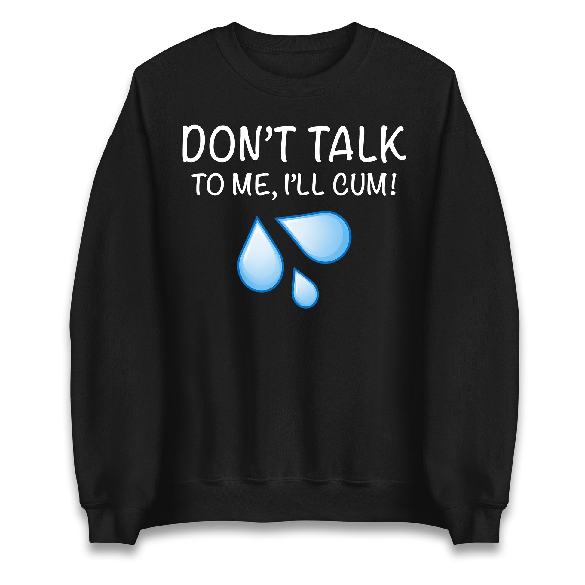 Don't Talk To Me I'll Cum Jumper