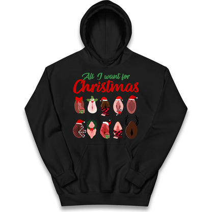 All I Want For Christmas Vagina Funny Hoodie