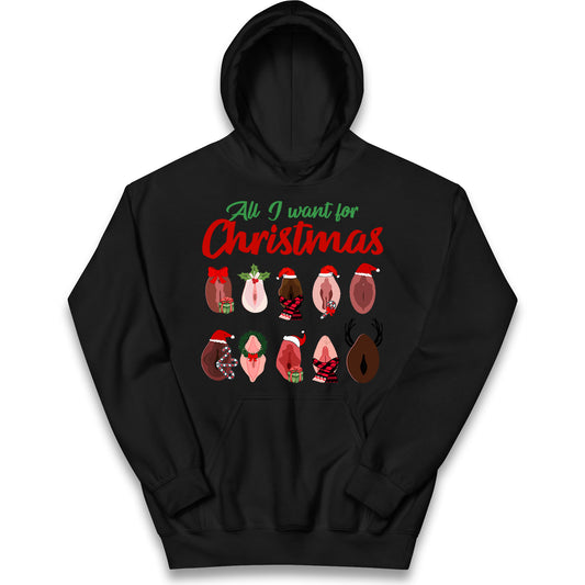 All I Want For Christmas Vagina Funny Hoodie